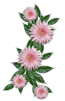 Blumen, rosa - kostenlos png