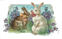 Osterhase easter rabbit lapin - png grátis