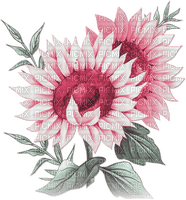 soave deco flowers sunflowers branch pink green - PNG gratuit