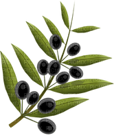 olives bp - δωρεάν png