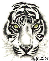 Tiger - Безплатен анимиран GIF