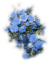 vase flower dubravka4 - png gratis