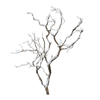 Arbre.Tree.Winter.Hiver.Victoriabea - PNG gratuit