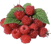 patymirabelle fruits - gratis png