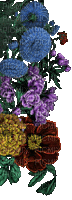 Animated Flower Border - Gratis geanimeerde GIF