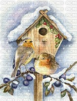 Vögel im Winter - ücretsiz png