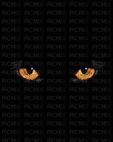 кошачьи глаза - Безплатен анимиран GIF