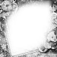 soave frame vintage flowers lace black white - Free PNG