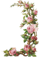 cadre avec roses - ücretsiz png