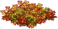 tube automne - PNG gratuit