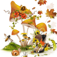 patymirabelle automne champignons - png ฟรี