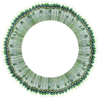 Kaz_Creations Deco Border Round Circle Frames Frame Peacock - PNG gratuit