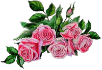 More Flowers-2 - ilmainen png