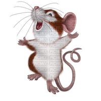Mouse - PNG gratuit