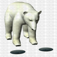 polar bear ice fishing - Free animated GIF