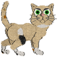 Petz Angry Kitty - PNG gratuit