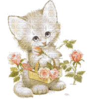 Chaton aux roses - rose pâle - 無料のアニメーション GIF