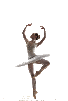 ballerine 🌹❤️ - Zdarma animovaný GIF