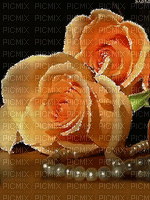 maj gif roses - Darmowy animowany GIF