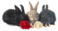 rabbits by nataliplus - Free PNG