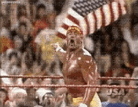 Hulk Hogan - GIF animasi gratis