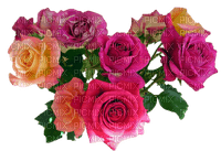 Roses - darmowe png