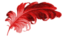 chantalmi  plume rouge red - PNG gratuit