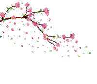 spring printemps frühling primavera весна wiosna  branch zweig leaves petals branche   garden jardin tube deco fleur bloom blüten blossom nature pétales ast gif anime animated