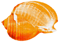 Seashell.Orange - Free PNG