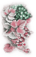 soave deco autumn branch grapes vintage pink - darmowe png