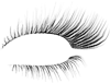 Kaz_Creations  Eyes Eye Lashes Right - PNG gratuit