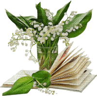 flores y libro - png gratis