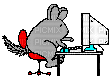 Chinchilla at computer - Bezmaksas animēts GIF