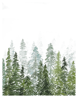 Forest - png gratis