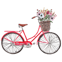 bicycle bp - nemokama png