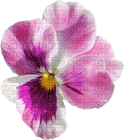 fleur - kostenlos png