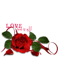 blomma-flower--text-Love is all - PNG gratuit