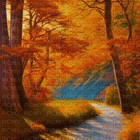 kikkapink autumn forest background - zadarmo png
