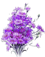 soave deco laventer flowers branch  purple - kostenlos png