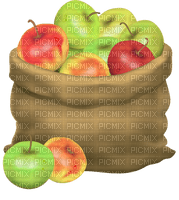 apple apfel pomme autumn - png gratis