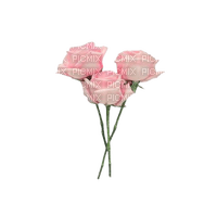 three pink roses - PNG gratuit
