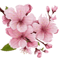 Цвет Весны - Darmowy animowany GIF