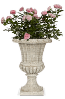 pot with flowers, sunshine3 - 無料png