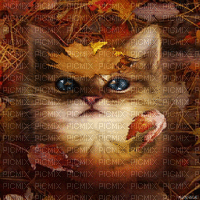 CAT AUTUMN LEAVES GIF CHAT AUTOMNE FEUILLES