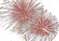 Kaz_Creations Fireworks - ilmainen png