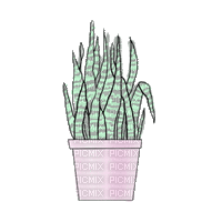 Topfpflanze - 無料のアニメーション GIF