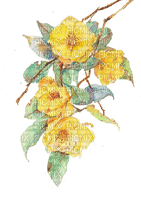 Yellow flowers  Bb2 - nemokama png
