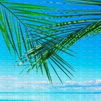 Sommer été summer - PNG gratuit