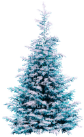 Winter.Tree.Blue.White - PNG gratuit