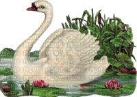 vintage swan - gratis png